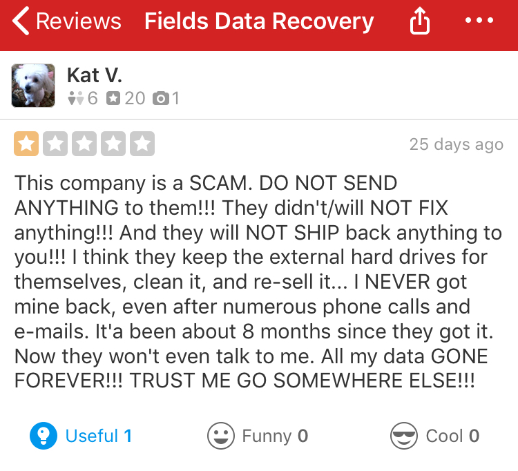 Kat V Yelp review Kat V Yelp review